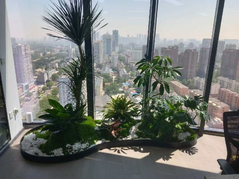 微型景观造景